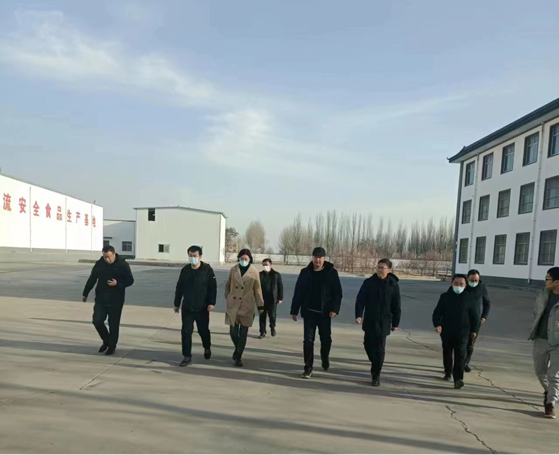 石嘴山市副市長(zhǎng)、惠農(nóng)區(qū)委書(shū)記王宇翔蒞臨寧夏興康恒潤(rùn)農(nóng)業(yè)科技發(fā)展有限公司調(diào)研