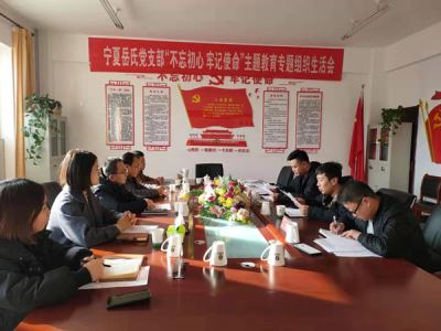 寧夏岳氏黨支部召開“不忘初心，牢記使命”主題教育專題組織生活會